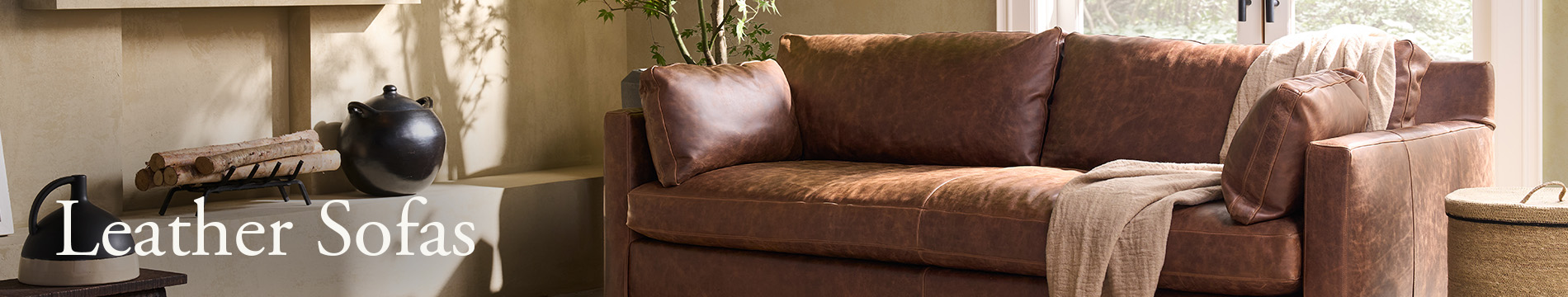 Sectional header image