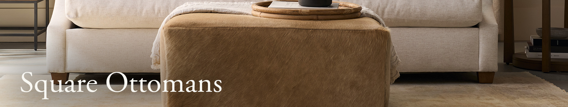 Sectional header image