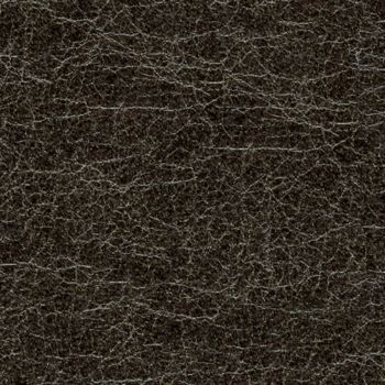 Picture of KL202-55